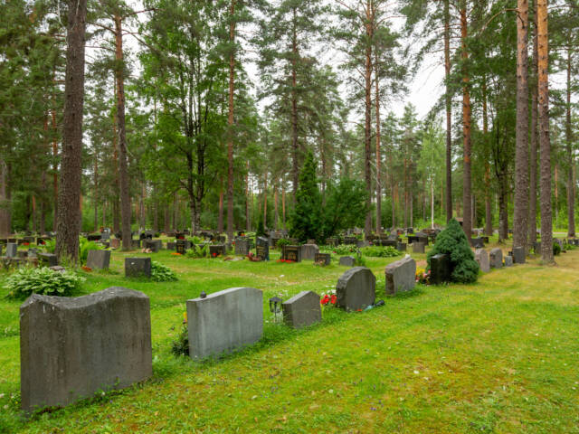 Hautakivirivistö edessä ja takana hautausmaa