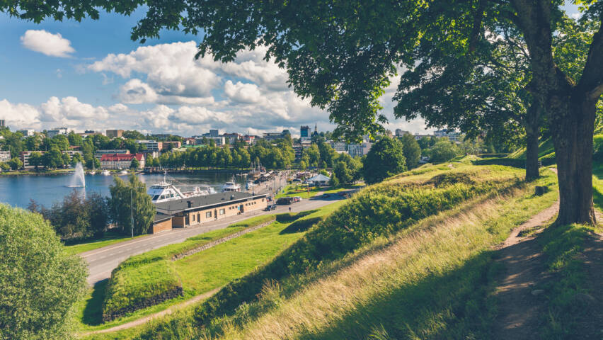 Näkymä Lappeenrannan keskustaan Linnoituksen valleilta. Suuri vihreä lehmus kehystää kuvan oikealta reunalta.