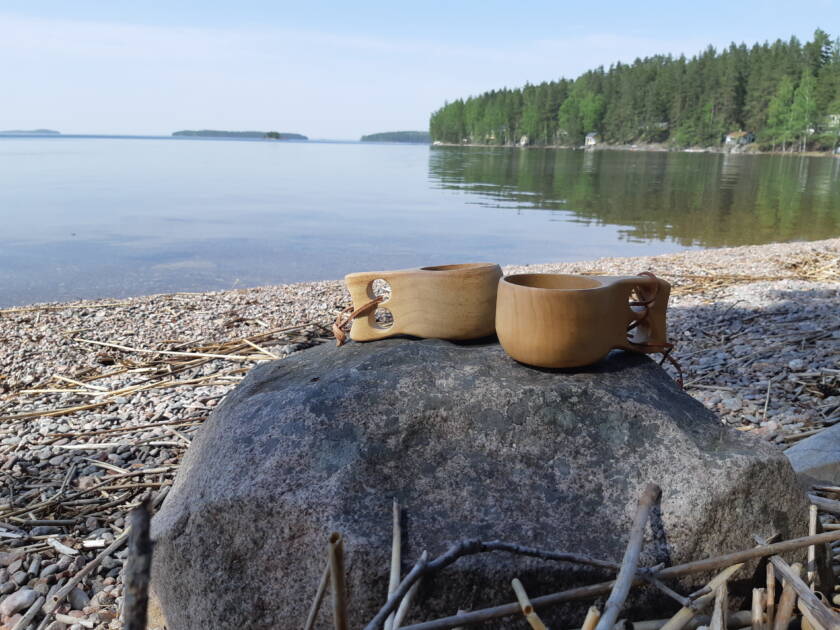 Kaksi kuksaa rannassa kivenpäällä.